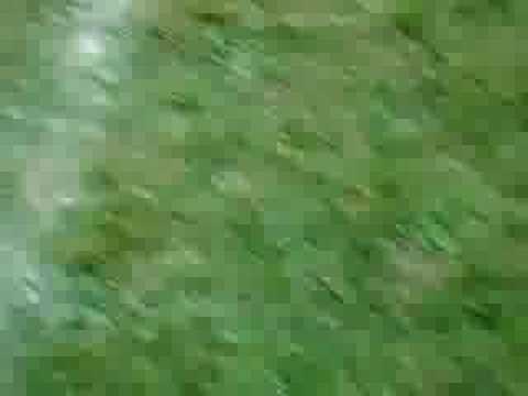 1:0 des FC 05 Bergweiler gegen Türkgücü Wittlich II