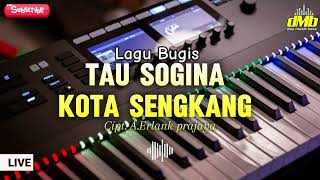 Download lagu DMB || LAGU BUGIS TAU SOGINA KOTA SENGKANG || Cipt. A.Erlank prajaya || live tiktok mp3