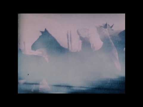 Bullets for Breakfast