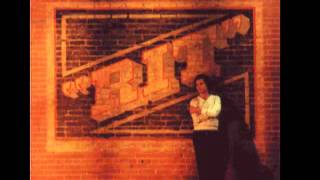 Lee Ritenour ~ Mr. Briefcase (1981)