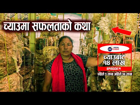 Aadhunik Chyau Kheti | Byabasaya Ma Safalta | Mushroom Farming| Chyau Kheti Nepal | Epic Khabar EP10