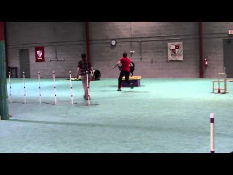 2012-03-18 Marg-Kite Std.AVI