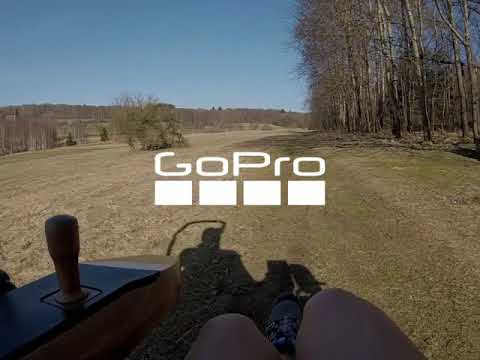 Frühling, Sonne, Sonnenschein...