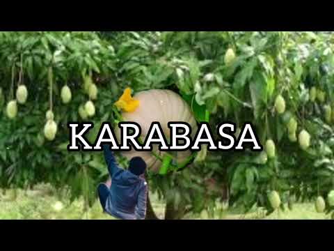 KARABASA (Ilocano Inspirational Christian Song ,with lyrics)