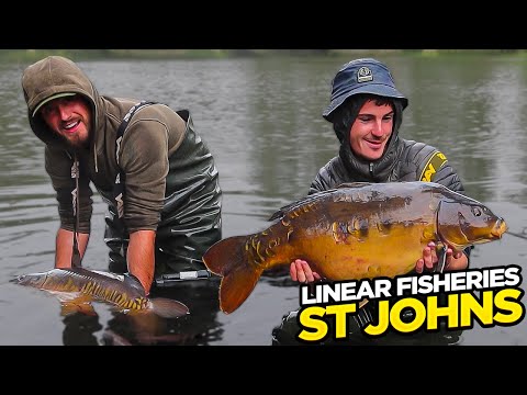 St Johns Carp Fishing Session Before BYCAC At Linear Fisheries