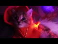 Baby Meow:  Milky Milk (Kitty Cat Music Video)