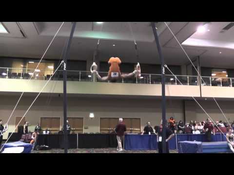Joey Peters - Still Rings -- 2014 Winter Cup Prelims