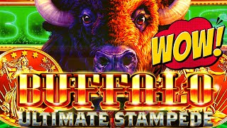★BIG WIN!★ IT CAN BONUS AT ANYTIME! BUFFALO ULTIMATE STAMPEDE 🦬 Slot Machine (ARISTOCRAT GAMING)