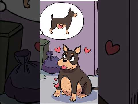 Her name is Chocolate 🐕🐶🥰 #lovestory