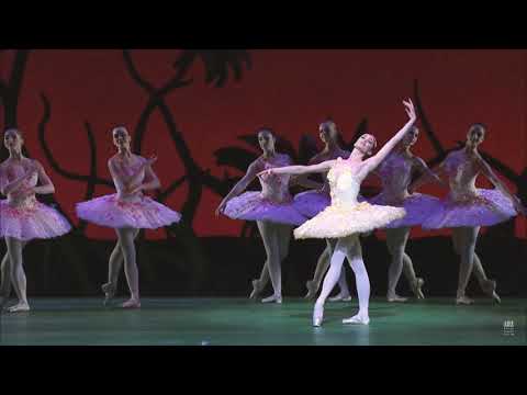 DON QUIXOTE - Queen of the Dryads (Melissa Hamilton - Royal Ballet)