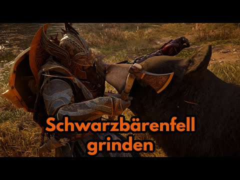 AC Valhalla - Easy Schwarzbärenfell farmen