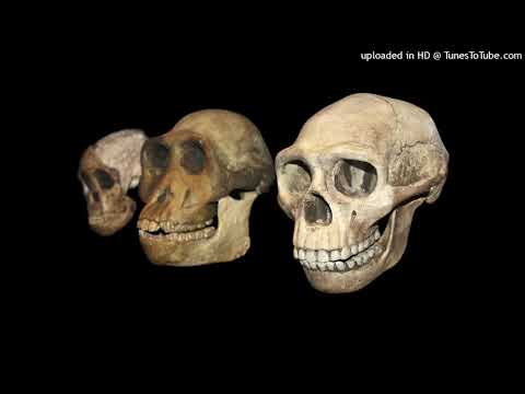 Emmat - Tragicomedia (Feat. RANGO & Gramak AKA 4SK)