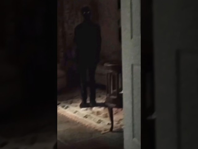 Vídeo relacionado con PACTUM: Que el diablo os perdone. (Serie AVERNO. Terror, suspense, thriller psicológico, misterio. nº 2)