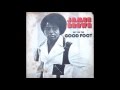 James Brown - Nothing Beats A Try But A Fail