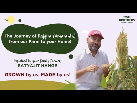 , title : 'Journey of Our Rajgira I GROWN by us. MADE by us!'
