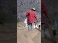 Short En México El Cultivo De Amaranto Es Una Tradición