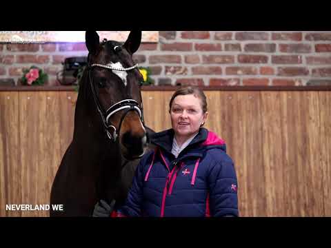 Neverland WE Hengstschau Sosath 2021