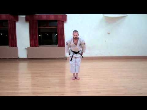Wado Karate Pinan Nidan performed by Neil Pottinger.