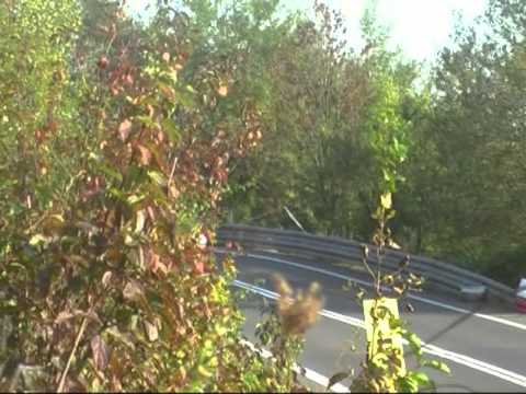 GSMP Załuż 2010 - Andrzej Papamichalis - Mitsubishi Lancer Evo VIII