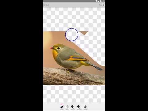 Background Eraser Assistant Video