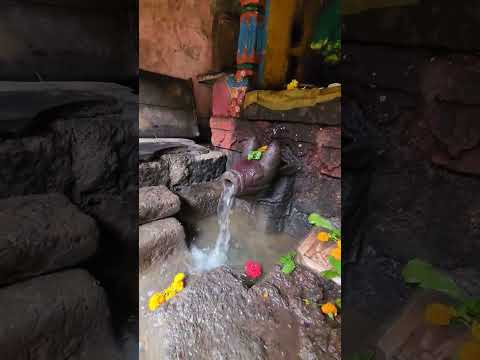 Godavari Udgam Sthan,Trimbak, Maharashtra | #shorts #youtubeshorts #godavari