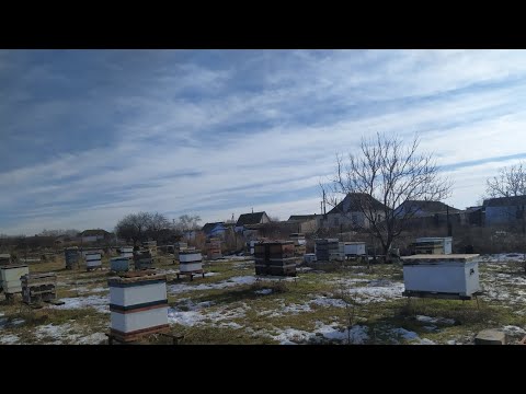 Зимовка на пасеке ❄️🐝