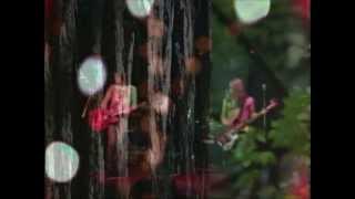 YOU AM I 'Conscience' (Snake Tide 1991)