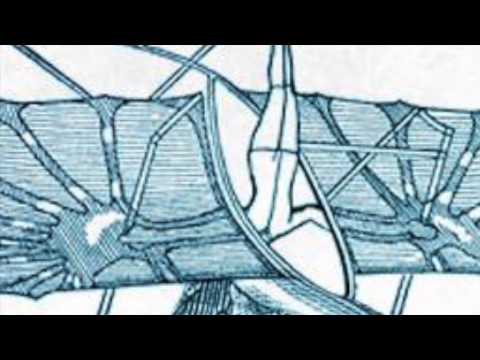 Fideles - Road To Moscow feat Kizzy Lotus (Original Mix)