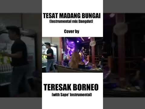 Tesat Madang Bungai by Teresak Borneo perform at Dcottage Grill & Bar Kapit