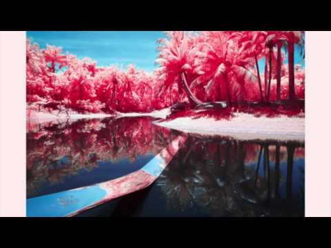 Zedd x Liam Payne - Get Low (Dave Cooper Remix)