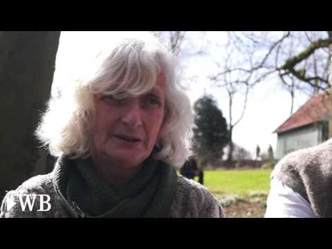 Zweites Schneeglöckchenfest wird in Löhne gefeiert