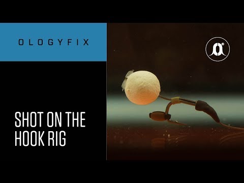 CARPologyTV | How to tie the shot on the hook rig