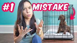 EASIEST Crate Training Schedule! Everything you need to know 🙌