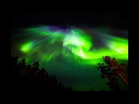 Breathing Life - Niklas Gustavsson