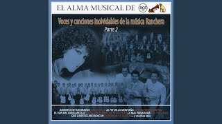 Amanecí en Tus Brazos (Remasterizado)