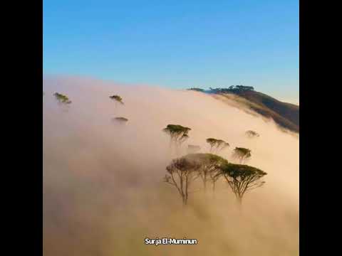 Surja El-Muminun, ajetet 12-16.