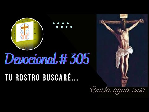DEVOCIONAL # 305 PALABRA DE DIOS, ESTUDIO BIBLICO, REFLEXIONES PARA EL ALMA, REINA VALERA 1960