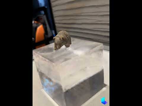 人文科学科 オホーツク文化の骨製クマ像（複製　本郷キャンパスにて展示）