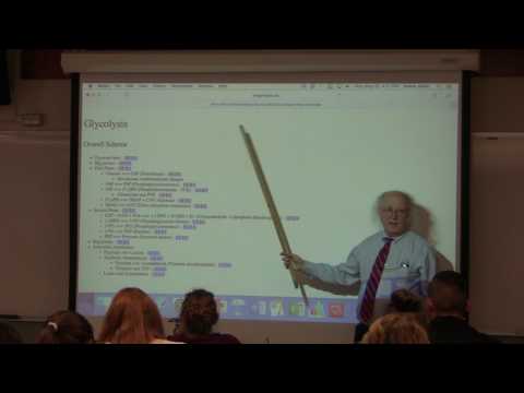 27. Ahern's BB 350 at Oregon State University - Glycolysis II & Gluconeogenesis