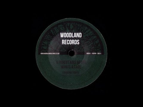 Conscious Youth - A Forest Bird Never Wants A Cage