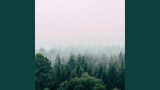 Butterfly in the Night