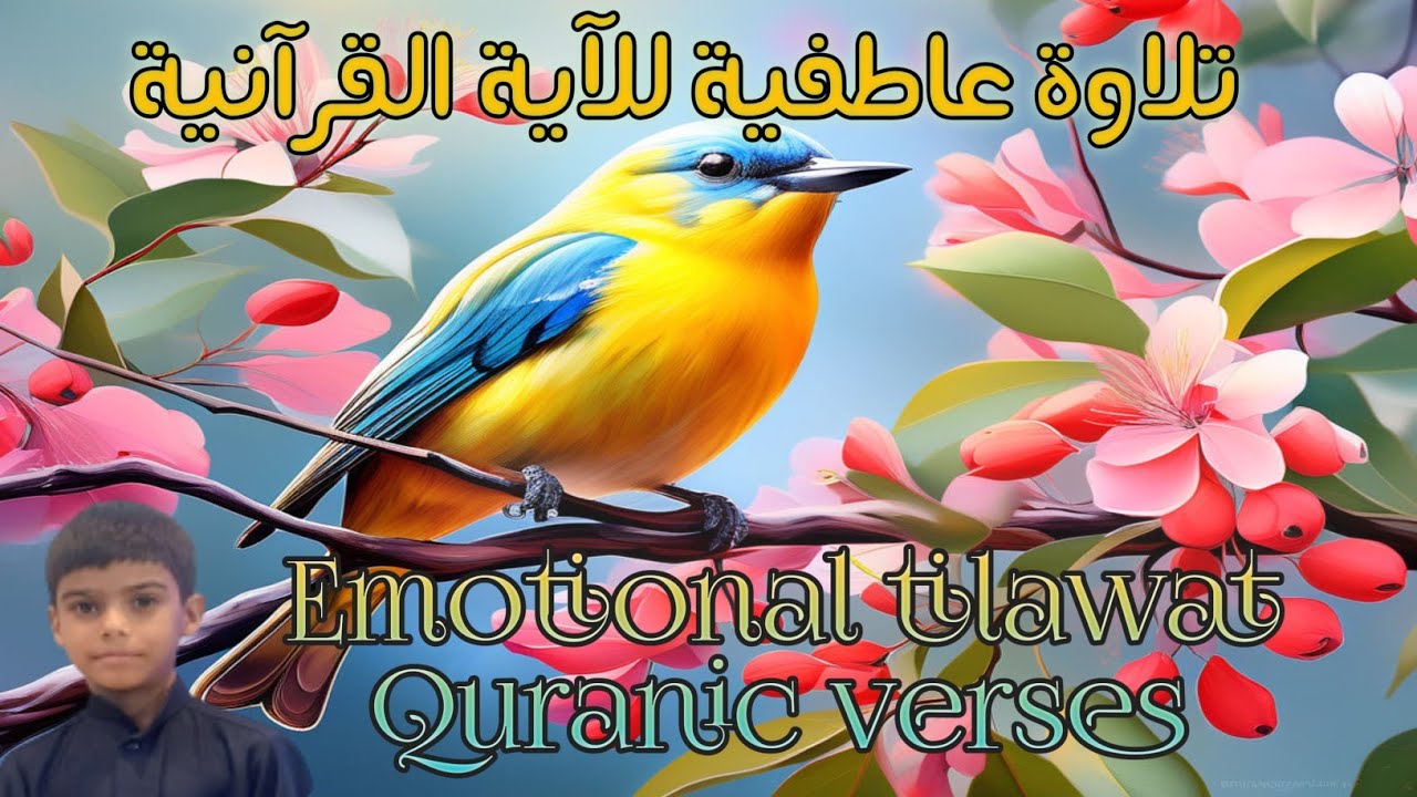 Emotional Quran tilawat | Beautiful Quran Recitation Verses