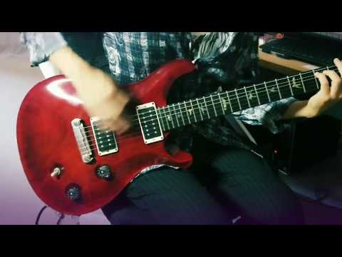 PRS McCarty Wood Library 2014 DEMO -childhood -