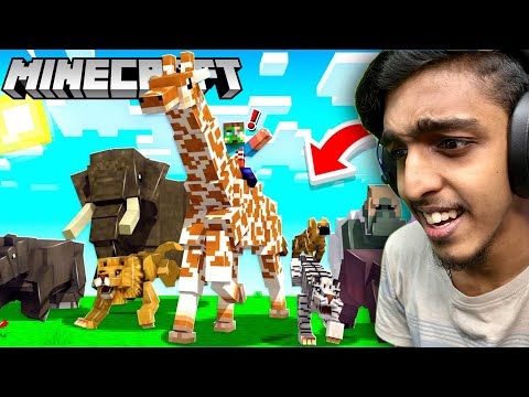 I added Every ANIMALS in Minecraft 😂😂!! GAME THERAPIST