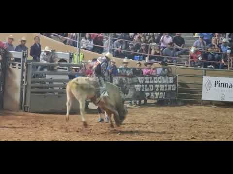 Guytin Tsosie 92pts 2022 Wildthing Championship Bullriding Winning Ride