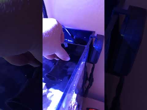 Innovative Maine 15-gallon  - Adding the Random Flow Generator® Nozzle