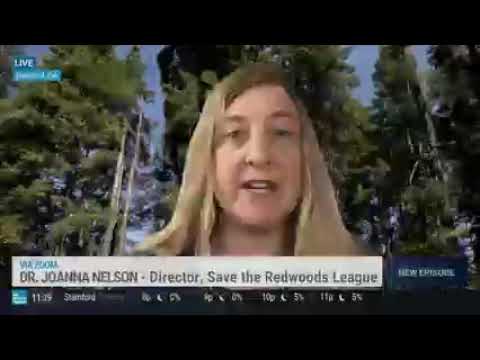 (Client) Save the Redwoods League's Joanna Nelson discusses wildfires with The Weather Channel.