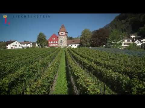 Das Fürstentum Liechtenstein - Kurzfassung