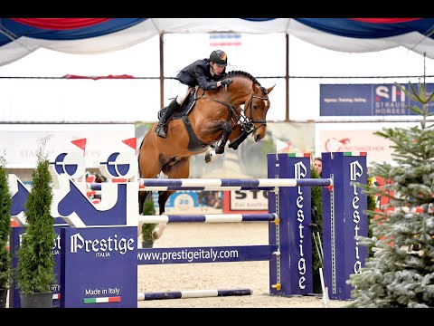 Denver Hengstvorführung 2021 - Hengststation Dirk Ahlmann