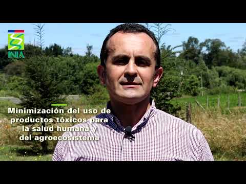 ¿Qué es la agroecología?